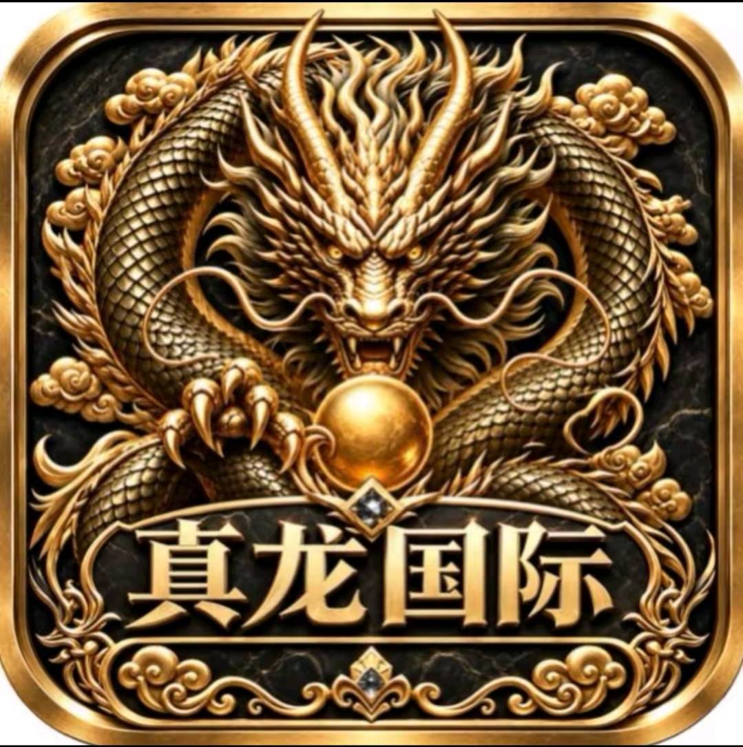 真龙国际准备上线